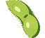 PLANT PROTEIN