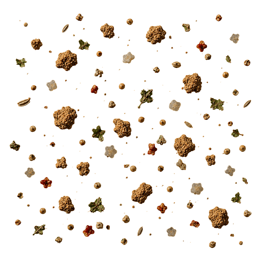 CHAAT MASALA
