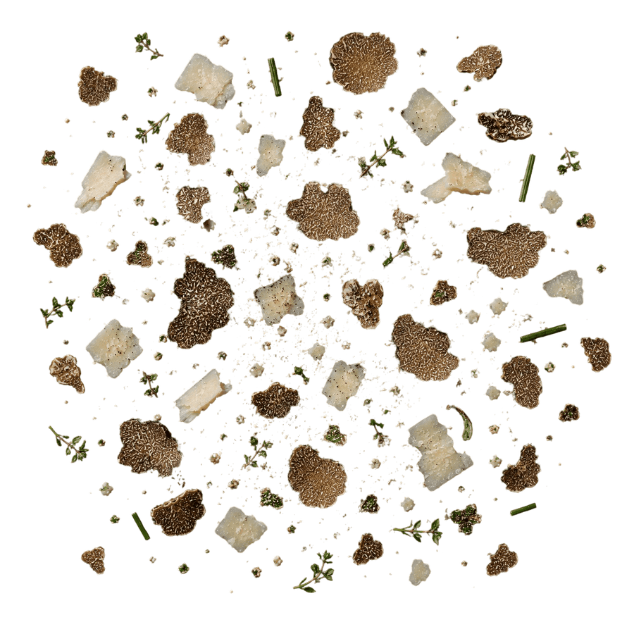 TRUFFLE